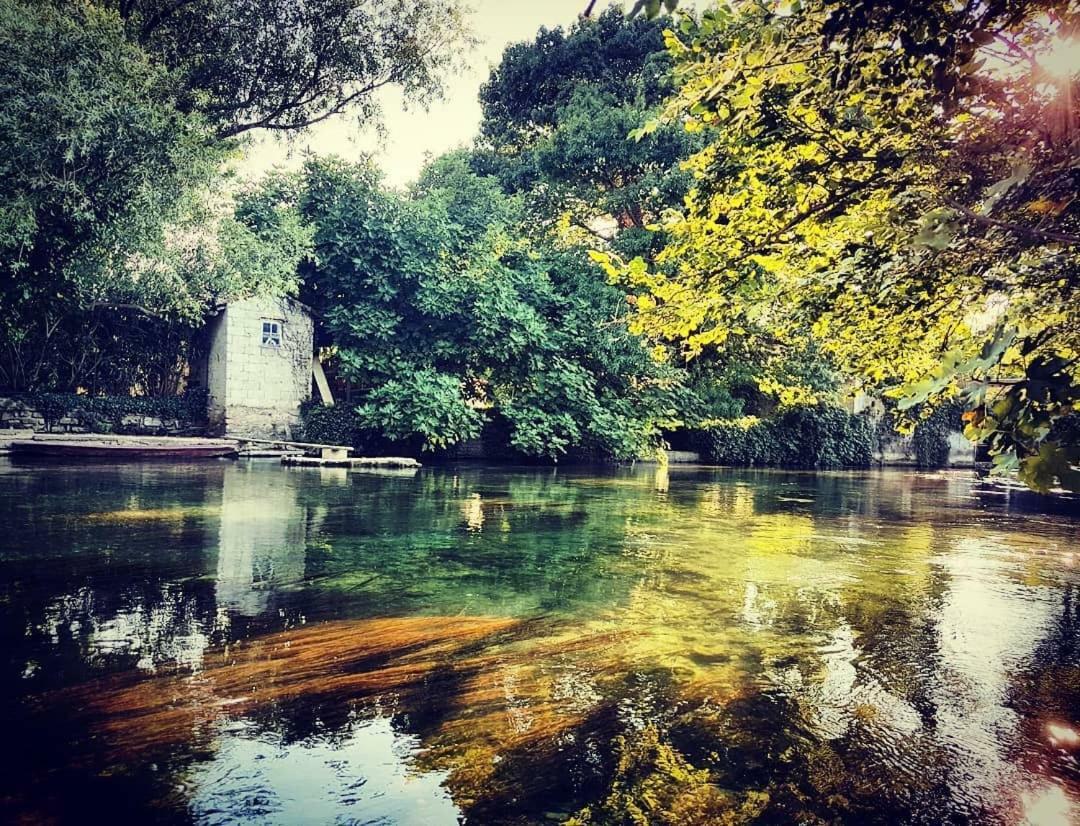 Mas Et Gite De La Picholine LʼIsle-sur-la-Sorgue Εξωτερικό φωτογραφία